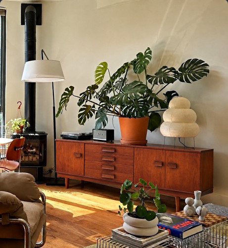 Rare retro midcentury - rare,